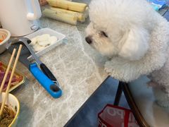 -艾贝尔宠物医院·24H转诊中心·肿瘤猫专科(江宁双龙店)