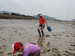 -花岙岛