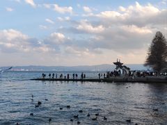 -洱海月湿地公园