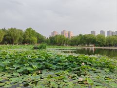 -太阳宫公园