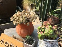 -悦哉·派对·草坪婚礼·围炉煮茶(三圣乡店)