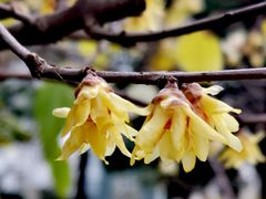 -神旺大酒店-停车场