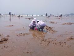 -青岛银沙滩