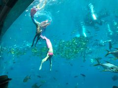 -瑞德姆美人鱼海底演艺主题餐厅(亚龙湾店)