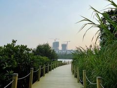 -华侨城湿地公园