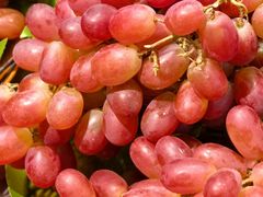 -浦江城市生活广场(江月路店)