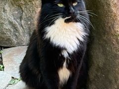 -庐山风景区花径公园