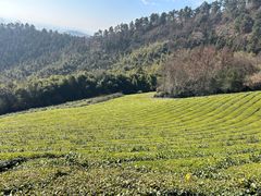 -敬亭山风景名胜区