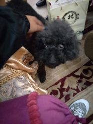 -杉惠素颜美妆皮肤管理中心