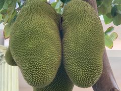 -三亚西岛海洋文化旅游区