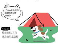 -瑞派天使宠物医院·神经外科·骨科·核磁(洛川中路店)