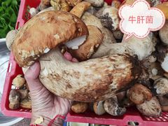 -茶马古道·野生菌清汤黄牛肉(沙溪店)