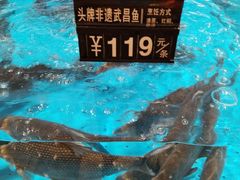 -艳阳天·非遗楚菜(武汉客厅店)