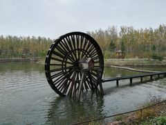 -合肥滨湖国家森林公园