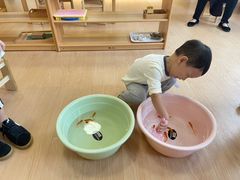 -绿城奇妙园双语日托(华茂悦峰园区)