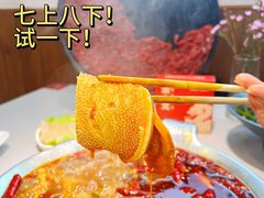 -渝大龙重庆火锅(温泉月亮湾店)