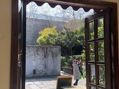 -两棵枇杷树