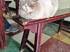 -小鱼草莓采摘园农家乐·小鱼餐厅