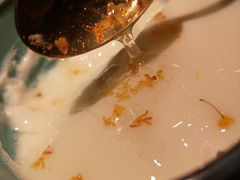 桂花酸奶-烤匠麻辣烤鱼(环球中心店)