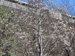 -北京奥林匹克公园