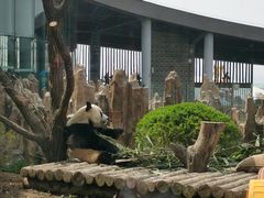 -大连森林动物园