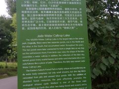 -东郊湿地公园