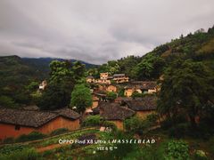 -杨家堂村
