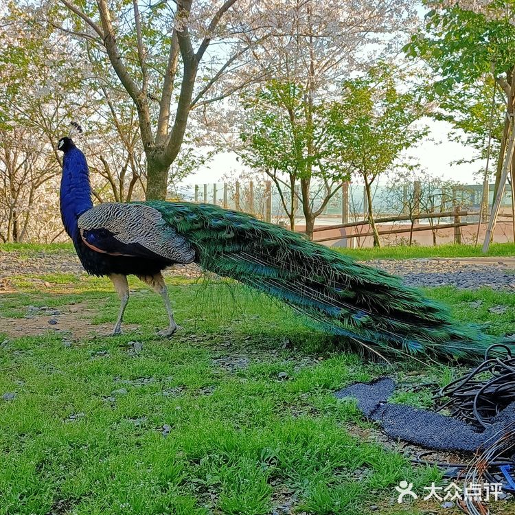 趁着蓝天去就对了
