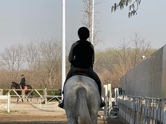 -北京群众马术培训基地