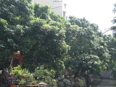 -小洲村