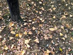 -瑞博尔花园酒店(太周创新产业园店)