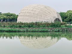 -上海吴淞炮台湾国家湿地公园