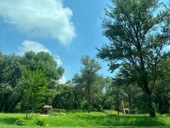 -北京野生动物园