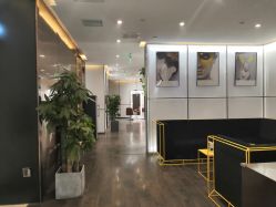 -崇尚GAVIN STYLE臻选