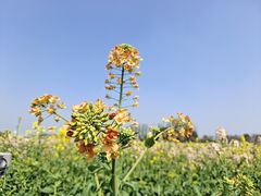 -中国天府农业博览园