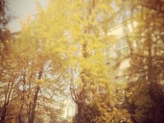 -星巴克(成都龙湖三千集店)