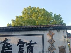 -乌镇东栅景区