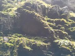 -野三坡百里峡景区