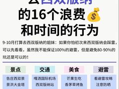 -西双版纳原始森林公园