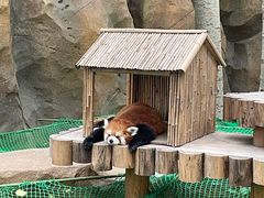 -北京野生动物园