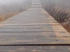 -白草畔自然风景区