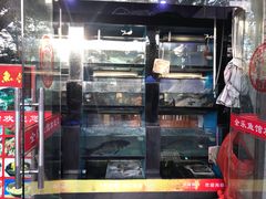 -全乐鱼馆·淳牌有机鱼直营店