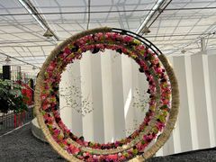 -上海鲜花港