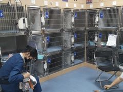 -特一安24小时宠物医院·骨科·中兽医