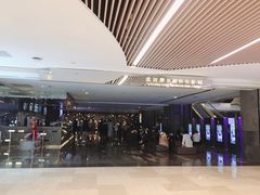 -武商摩尔影城(国广IMAX激光店)