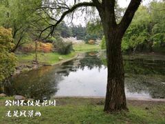 -上海共青森林公园