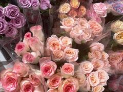 -循礼门鲜花花市(武汉循礼门店)