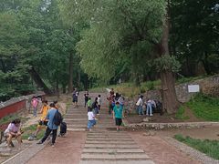 -阳台山自然风景区