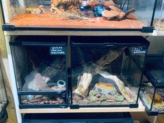 -Rabbit Cafe私房西餐甜点咖啡(栖霞路店)