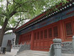 -法兴寺